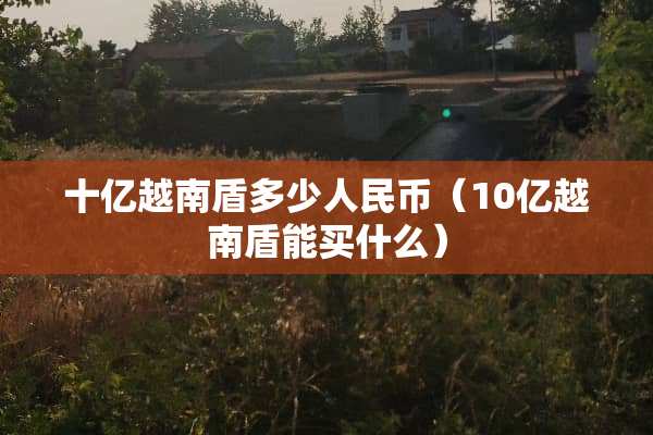 十亿越南盾多少人民币（10亿越南盾能买什么）