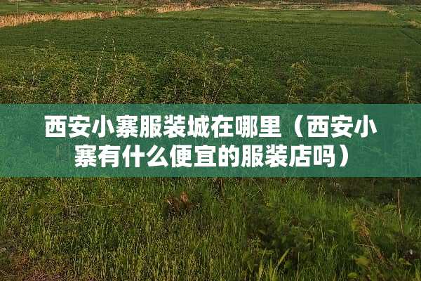 西安小寨服装城在哪里（西安小寨有什么便宜的服装店吗）