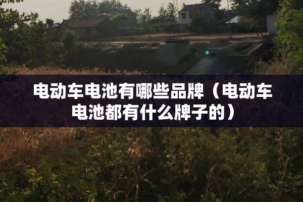 电动车电池有哪些品牌（电动车电池都有什么牌子的）