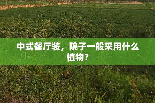 中式餐厅装，院子一般采用什么植物？