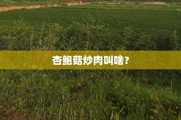 杏鲍菇炒肉叫啥？
