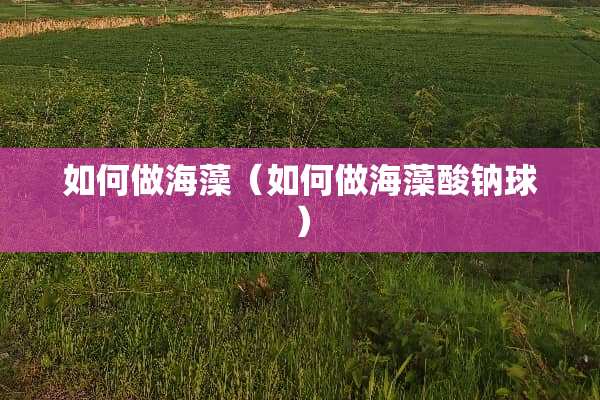 如何做海藻（如何做海藻酸钠球）