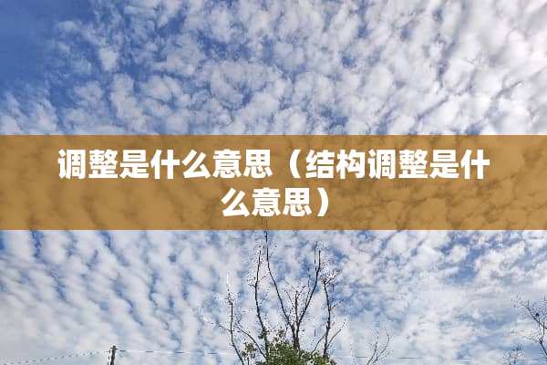 调整是什么意思（结构调整是什么意思）