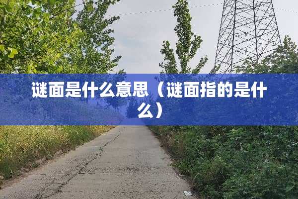 谜面是什么意思（谜面指的是什么）