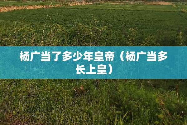 杨广当了多少年皇帝（杨广当多长上皇）