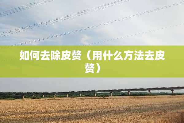 如何去除皮赘（用什么方法去皮赘）