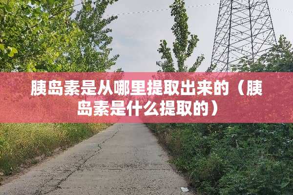 胰岛素是从哪里提取出来的（胰岛素是什么提取的）