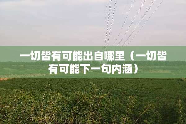 一切皆有可能出自哪里（一切皆有可能下一句内涵）