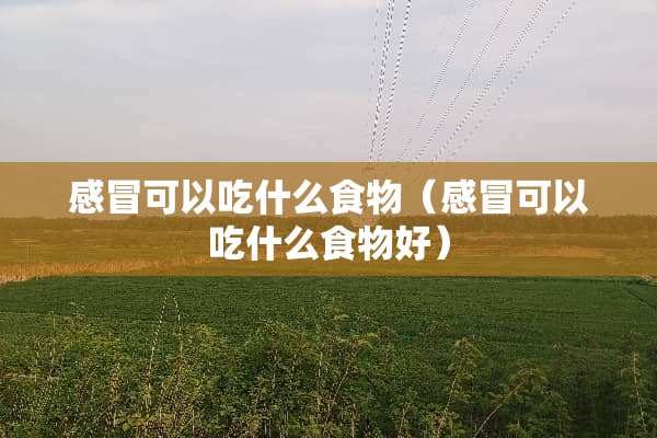 感冒可以吃什么食物（感冒可以吃什么食物好）