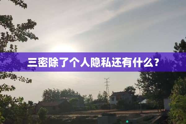 三密除了个人隐私还有什么？