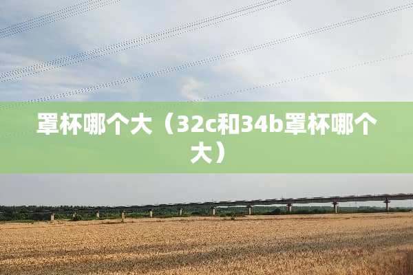**哪个大（32c和34b**哪个大）
