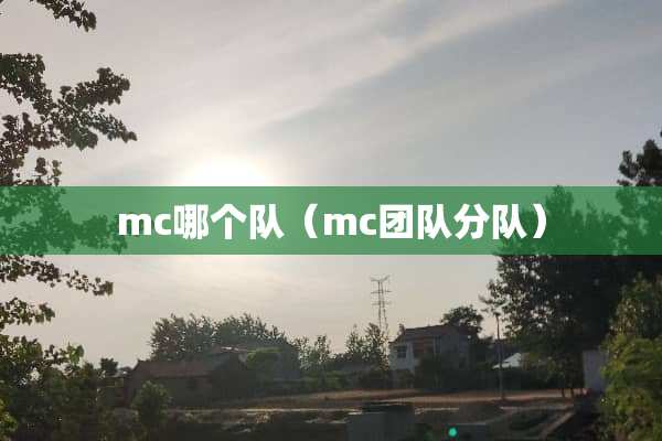 mc哪个队（mc团队分队）