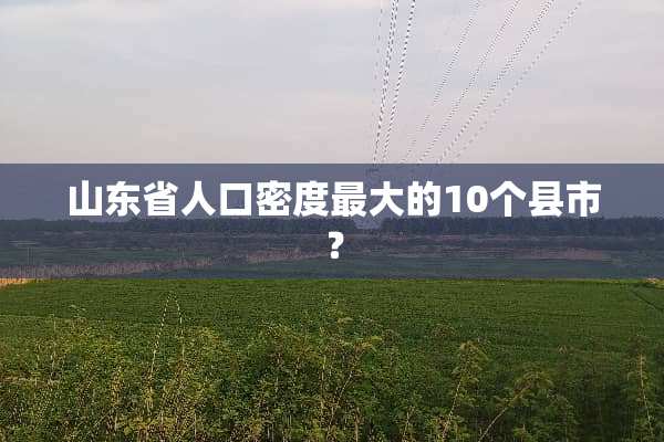 山东省人口密度最大的10个县市？