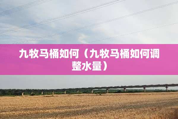 九牧马桶如何（九牧马桶如何调整水量）