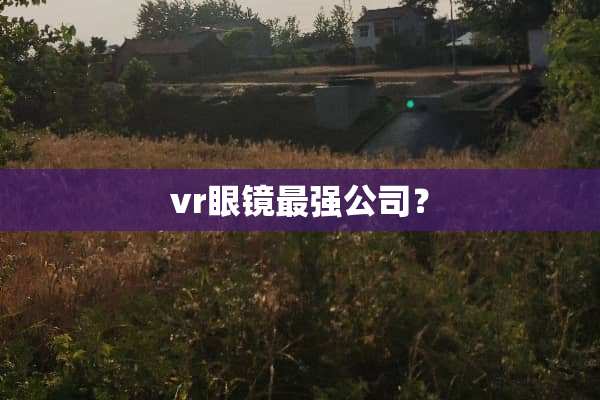 vr眼镜最强公司？