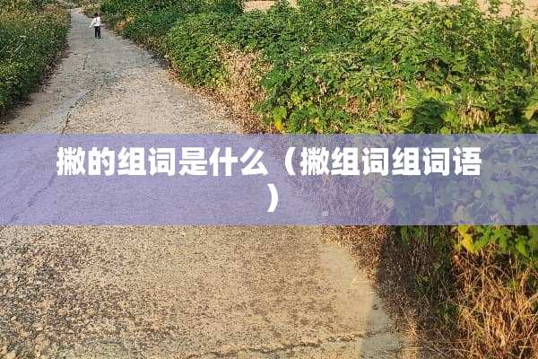 撇的组词是什么（撇组词组词语）