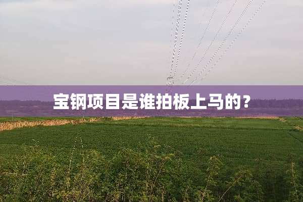 宝钢项目是谁拍板上马的？