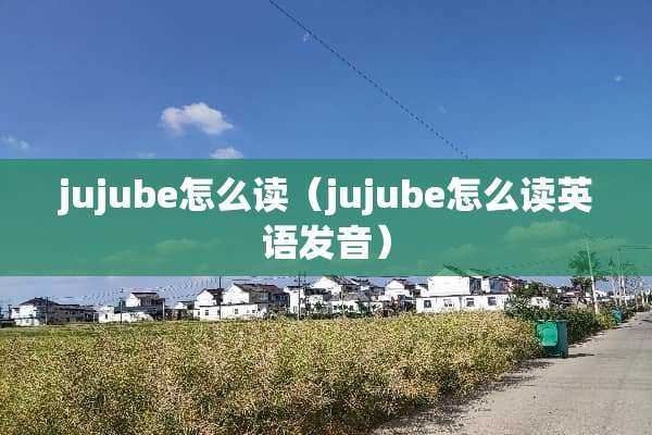 jujube怎么读（jujube怎么读英语发音）