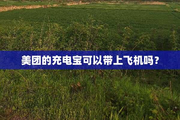 美团的充电宝可以带上飞机吗？