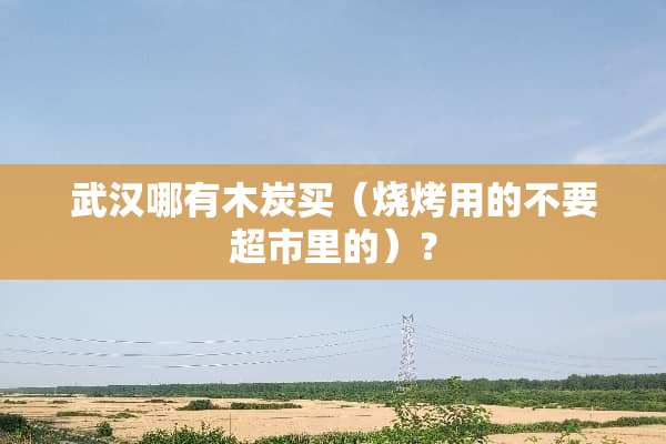 武汉哪有木炭买（烧烤用的不要超市里的）？