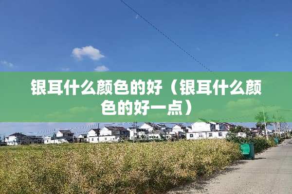 银耳什么颜色的好（银耳什么颜色的好一点）