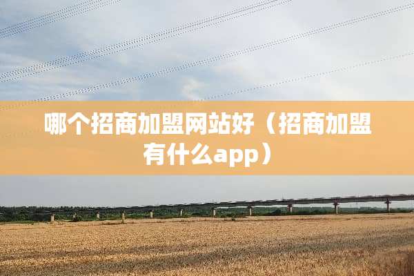 哪个招商加盟网站好（招商加盟有什么app）