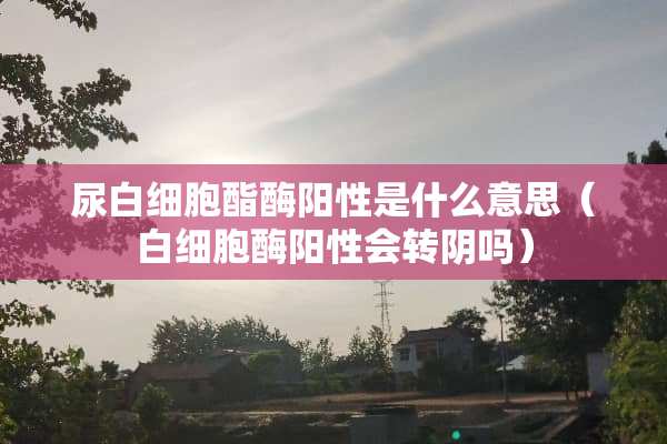 尿白细胞酯酶阳性是什么意思（白细胞酶阳性会转*吗）