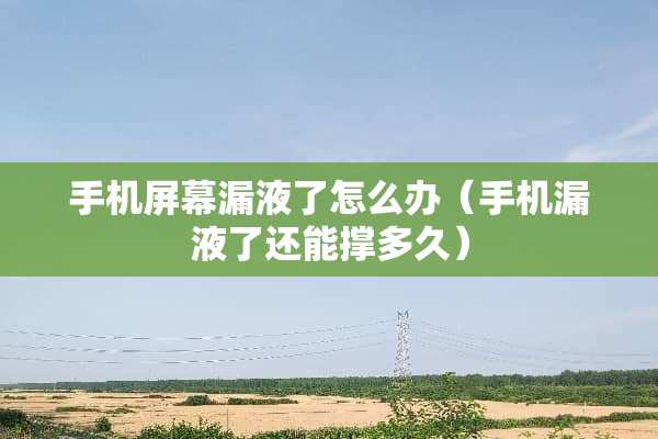 手机屏幕漏液了怎么办（手机漏液了还能撑多久）
