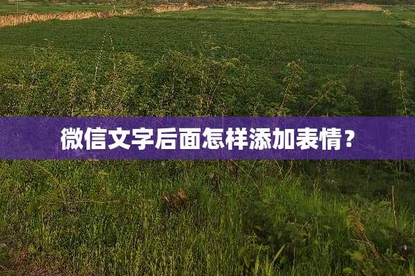 微信文字后面怎样添加表情？