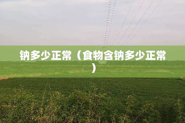 钠多少正常（食物含钠多少正常）