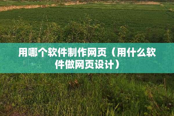 用哪个软件制作网页（用什么软件做网页设计）