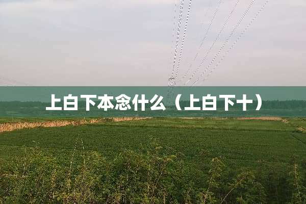 上白下本念什么（上白下十）