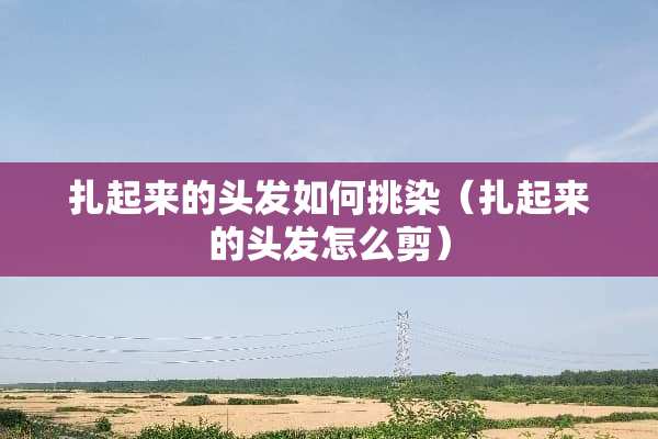 扎起来的头发如何挑染（扎起来的头发怎么剪）