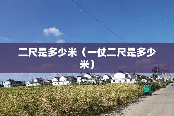 二尺是多少米（一仗二尺是多少米）