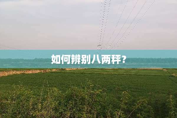 如何辨别八两秤？