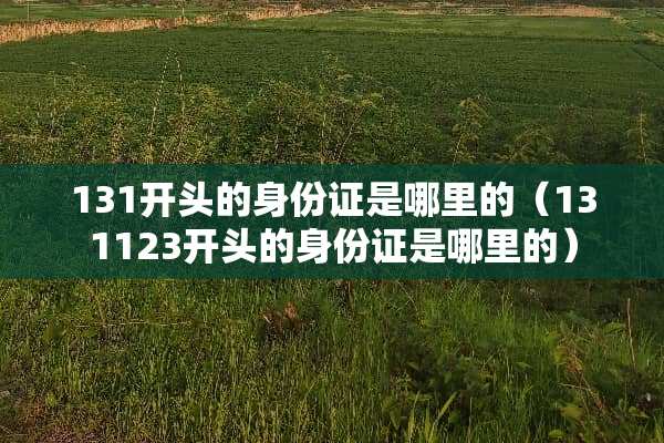 131开头的***是哪里的（131123开头的***是哪里的）