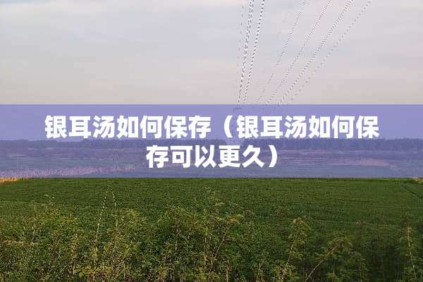 银耳汤如何保存（银耳汤如何保存可以更久）