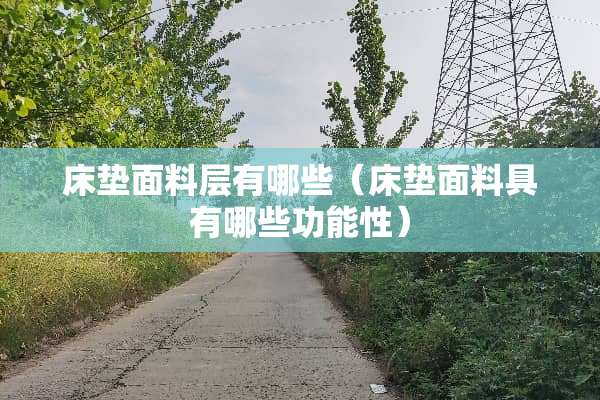 床垫面料层有哪些（床垫面料具有哪些功能性）