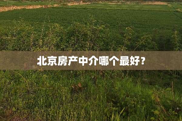 北京房产中介哪个最好？