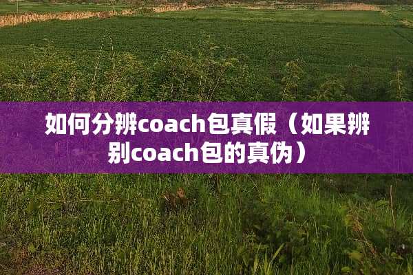 如何分辨coach包真假（如果辨别coach包的真伪）