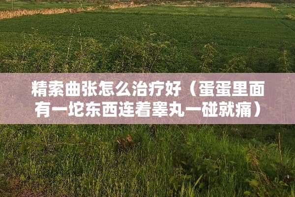 精索曲张怎么治疗好（蛋蛋里面有一坨东西连着**一碰就痛）