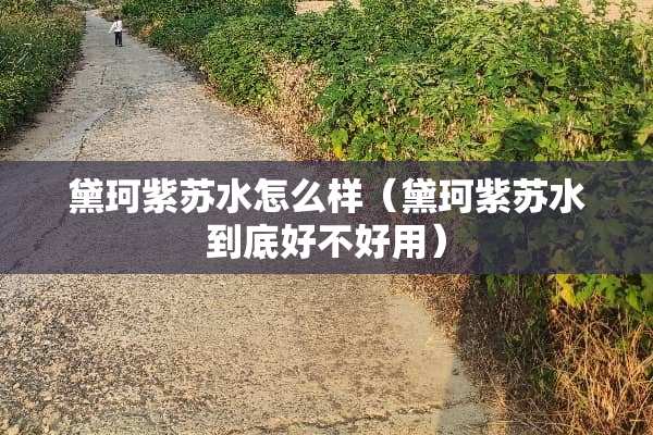 黛珂紫苏水怎么样（黛珂紫苏水到底好不好用）
