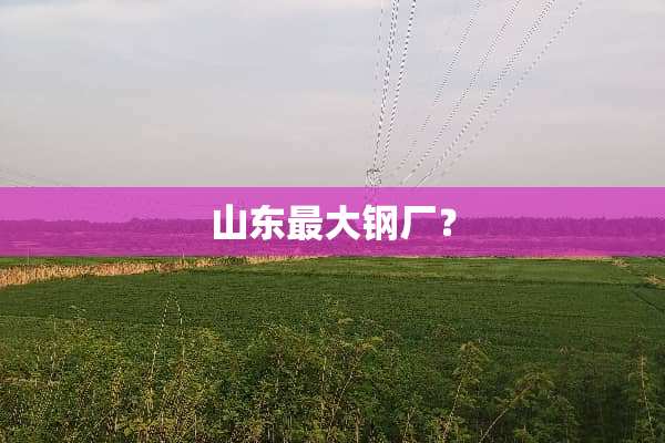 山东最大钢厂？