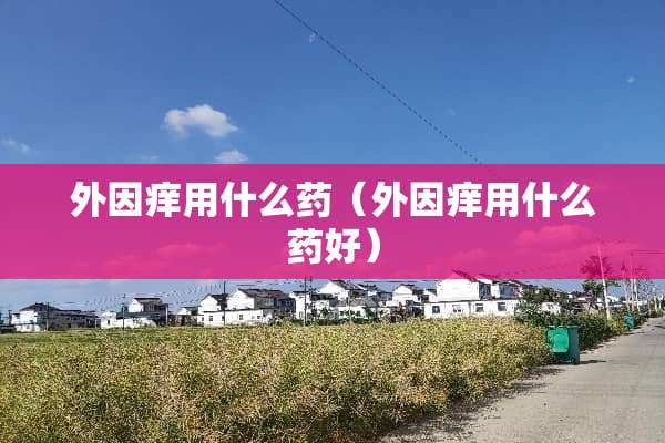 外因痒用什么药（外因痒用什么药好）