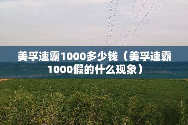 美孚速霸1000多少钱（美孚速霸1000假的什么现象）