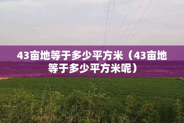 43亩地等于多少平方米（43亩地等于多少平方米呢）
