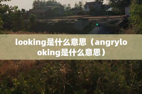 looking是什么意思（angrylooking是什么意思）