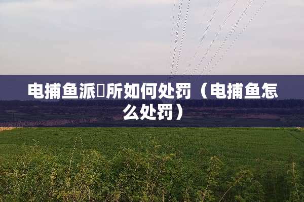 电捕鱼派岀所如何处罚（电捕鱼怎么处罚）