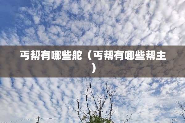 丐帮有哪些舵（丐帮有哪些帮主）