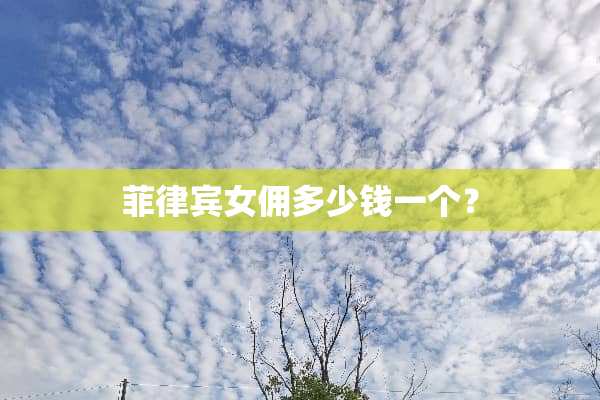 菲律宾女佣多少钱一个？